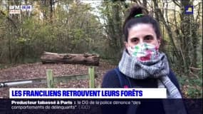Île-de-France: les balades en forêt reprennent, un "bol d'air" pour les habitants