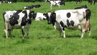 Et si l’agriculture utilisait aussi le big data ?