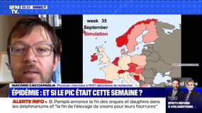 Épidémie: selon une modélisation d'un laboratoire du CNRS, Il y aura une deuxième vague en France dont le pic sera d'ici la fin Octobre