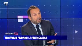 Sébastien Chenu : "Si Jean-Marie Le Pen choisit de soutenir Éric Zemmour, ça reste son problème" - 04/10