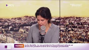 A Saucats, en Gironde, un projet de parc photovoltaïque fait débat