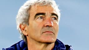 Raymond Domenech