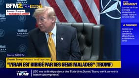 "Le Groenland est très important pour nous, pas pour le Danemark", estime Donald Trump au sommet de l'Otan