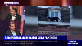 Armentières: Le mystère de la panthère noire - 24/09
