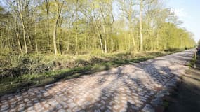 "Déception, injustice, honte", les mots lourds des amis de Paris-Roubaix après le report