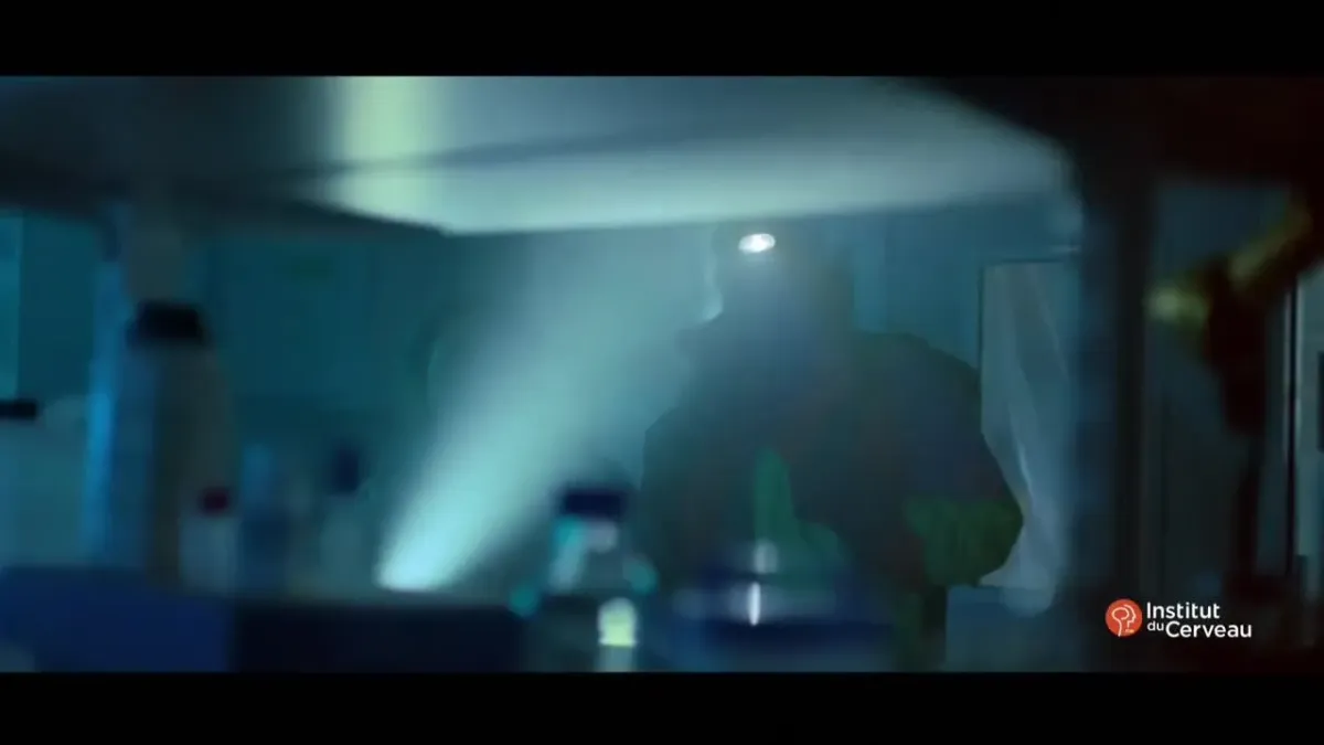 placeholder video