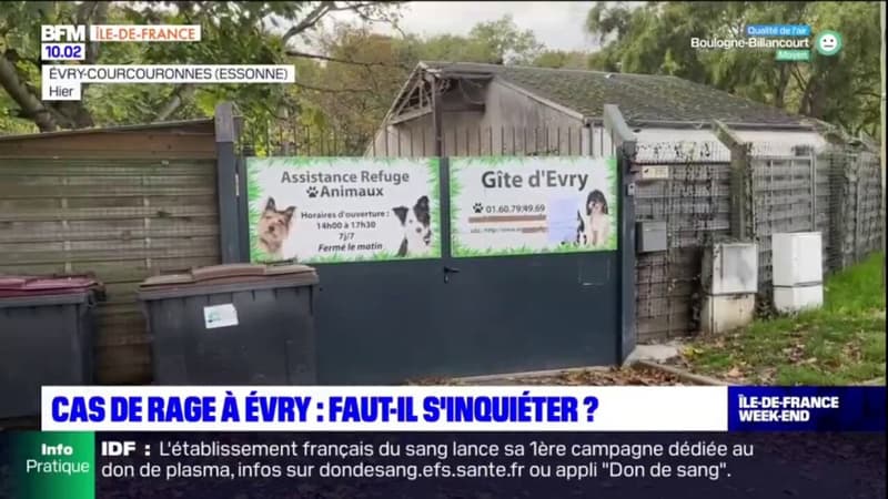 Cas de rage canine à Évry-Courcouronnes: faut-il s'inquiéter?