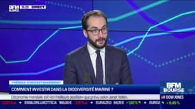 BFM Bourse - Jeudi 23 février