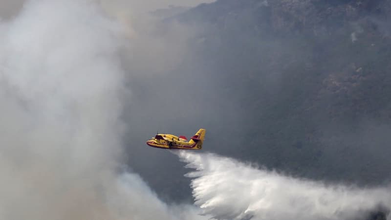 Un canadair intervient à Panelca en Corse-du-Sud.