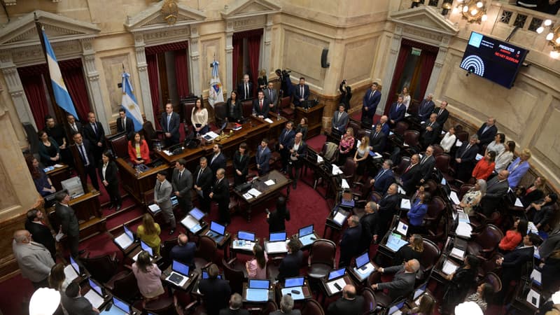 Le Sénat argentin réuni à Buenos Aires, le 14 mars 2024.