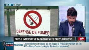 Faut-il interdire le tabac dans les parcs publics? Ca fait débat sur RMC