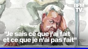 Procès des viols de Mazan: l'échange tendu entre Caroline Darian et son père Dominique Pelicot 