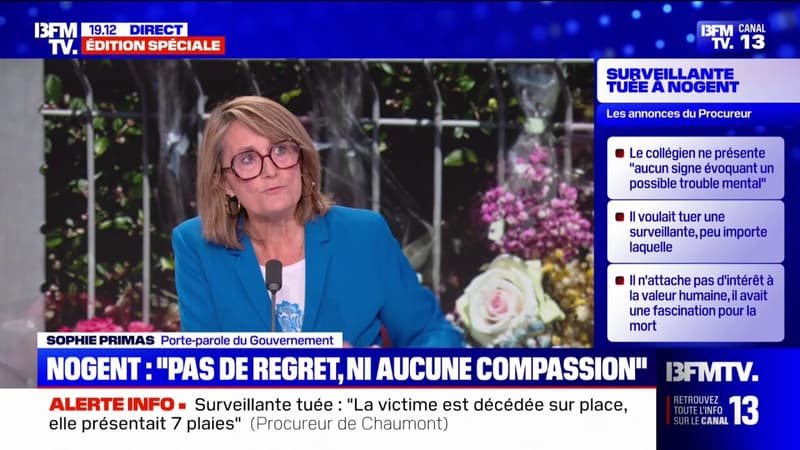 Interdire les réseaux sociaux aux moins de 15 ans: 