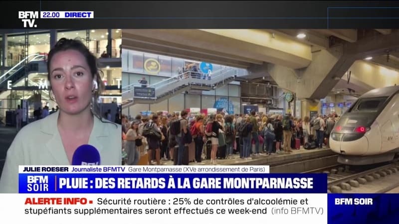 Gare Montparnasse: entre 30 minutes et 2 heures de retard pour les voyageurs