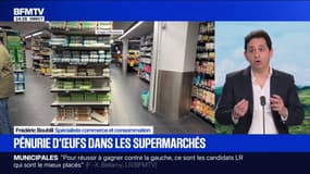 Pourquoi les œufs manquent dans les rayons des supermarchés?