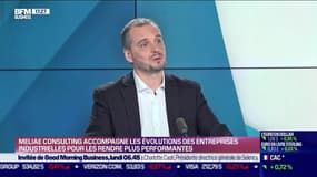 Stéphane Lescure (Meliae Consulting) : Meliae Consulting accompagne les évolutions des entreprises industrielles pour les rendre plus performantes - 16/04
