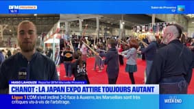 Marseille: la Japan Expo a de nouveau attiré les foules au parc Chanot