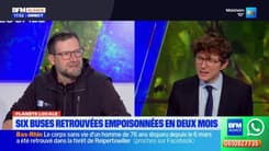 Planète locale du mercredi 26 mars - Bas-Rhin : qui en veut aux buses ?
