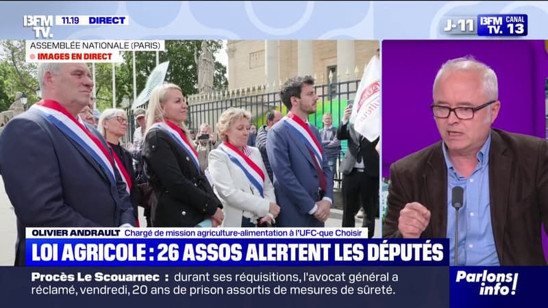 Loi Duplomb: 26 ONG et associations jugent que le vote du texte serait une 