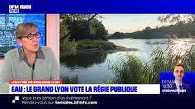 Le Grand Lyon se dote d'une régie publique pour la gestion de l'eau