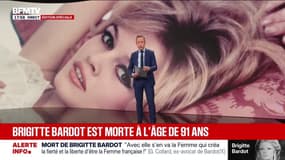 L'intégrale de BFM Dimanche Soir - Dimanche 28 décembre 2025