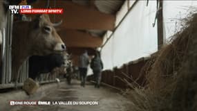 LIGNE ROUGE - Qui est le jeune agriculteur ayant eu une altercation avec le grand-père d’Émile le matin de la disparition ? 