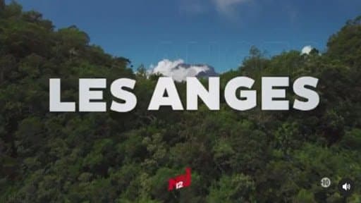 Des candidats de téléréalité agressent un maire de la Réunion: "Ils m'ont frappé à coups de poing, ma femme était plaquée au sol" 