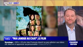 "Ma langue au chat" arrive au cinéma: l'histoire d'un week-end entre amis perturbé par la mort d'un félin