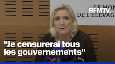 Crise politique, Mercosur... La conférence de presse en intégralité de Marine Le Pen