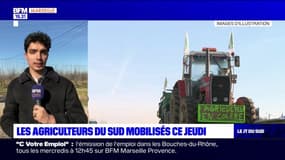 JT du Sud du mercredi 24 janvier