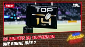 Rugby : 20 minutes de suspension pour un carton rouge, une bonne idée pour limiter les blessures ?