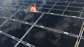 C'est dans le solaire que le nombre d'emplois directs a le plus reculé depuis 2010.