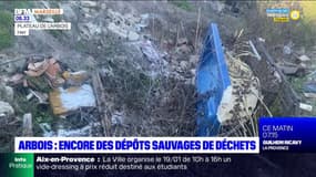 Plateau de l'Arbois: les dépôts sauvages de déchets continuent