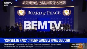 Donald Trump a lancé son controversé "Conseil de paix" à Davos