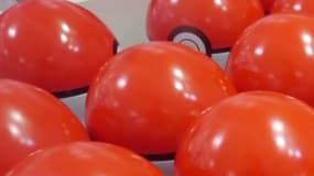 Les Poké Ball sont indispensables pour capturer des Pokémon.