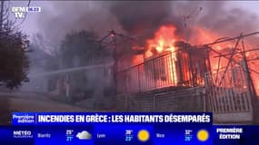 Incendies en Grèce: les habitants désemparés doivent évacuer leur maison 