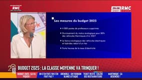 Budget 2025 : Electricité, consultations, malus écologique. "Les Français sont à bout."