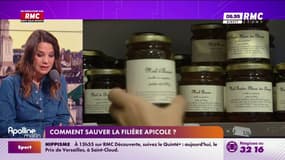 Comment sauver la filière apicole ?