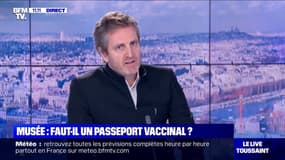 Frédéric Jousset (administrateur du Louvre): "Les musées, petits et grands, sont en quasi-faillite"