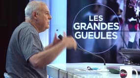 "Emmanuel Macron incarne incroyablement une posture présidentielle royaliste"
