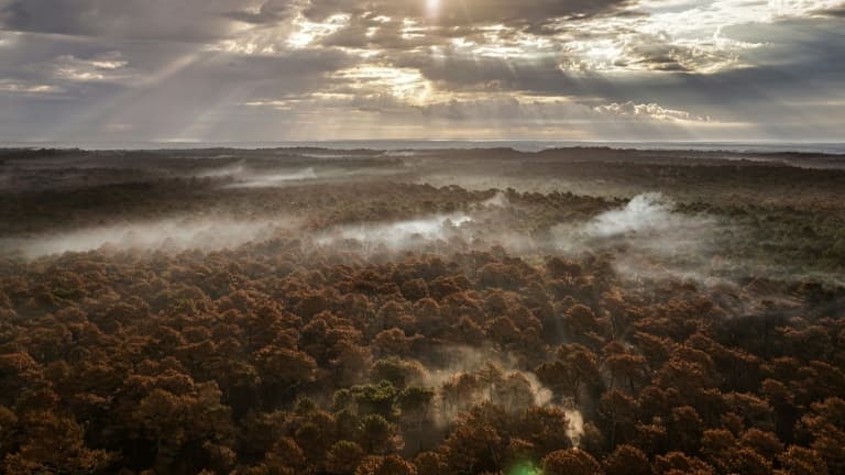 Vue aérienne de la forêt brûlée de La Teste-de-Buch, le 29 juillet 2022