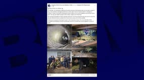 Un chien coincé dans un puits situé sous une maison au Texas a été sauvé.