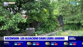 Ascension: les Alsaciens profitent de leur jardin