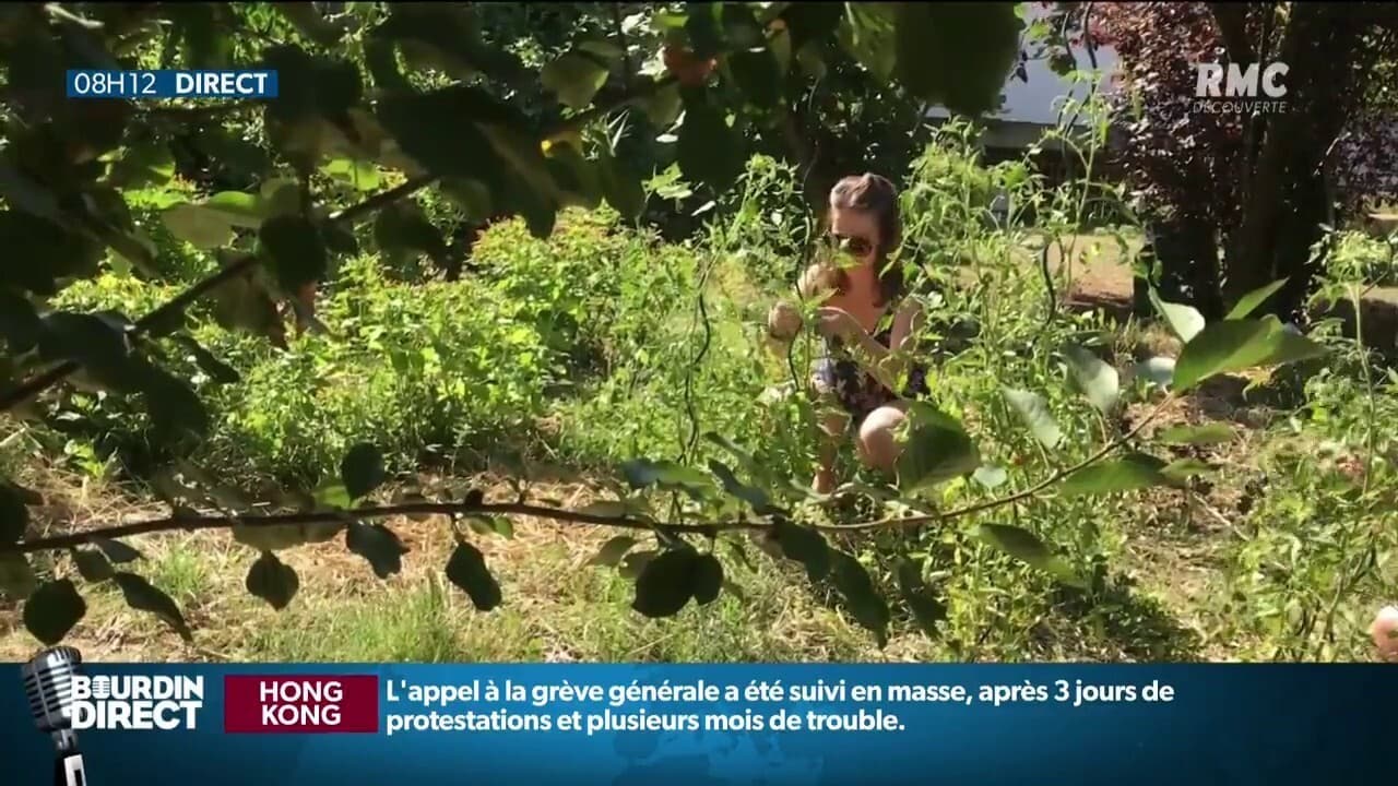 En Plein Centre Ville A Fait Du Bien De Soccuper Des L Gumes Une