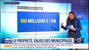 La propreté, l'un des grands enjeux des municipales à Paris