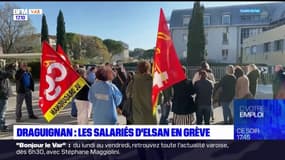 Draguignan: les salariés d'Elsan en grève