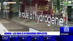 14 bus à hydrogène ont été déployés dans la métropole rouennaise