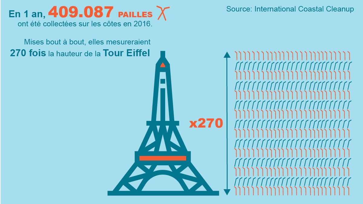 infog paille océan infog paille océan