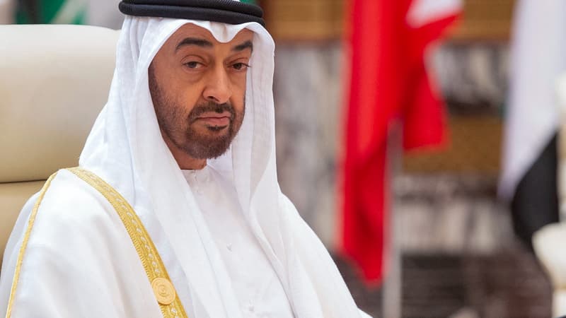 Mohammed ben Zayed élu président des Emirats par un Conseil suprême