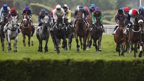 Deux groupes 1 avaient lieu ce dimanche à Auteuil